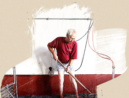 Funcionários Pinhal da Torre