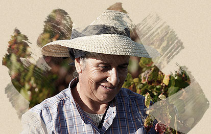 Funcionários Pinhal da Torre