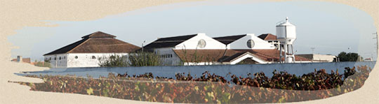 Quinta de São João